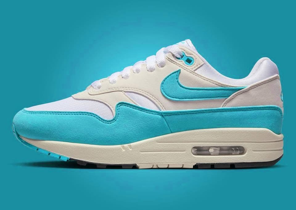 Nike Air Max 1 Dusty Cactus
