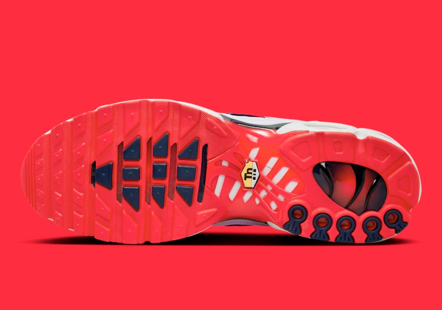 Nike Air Max Plus White Gradient