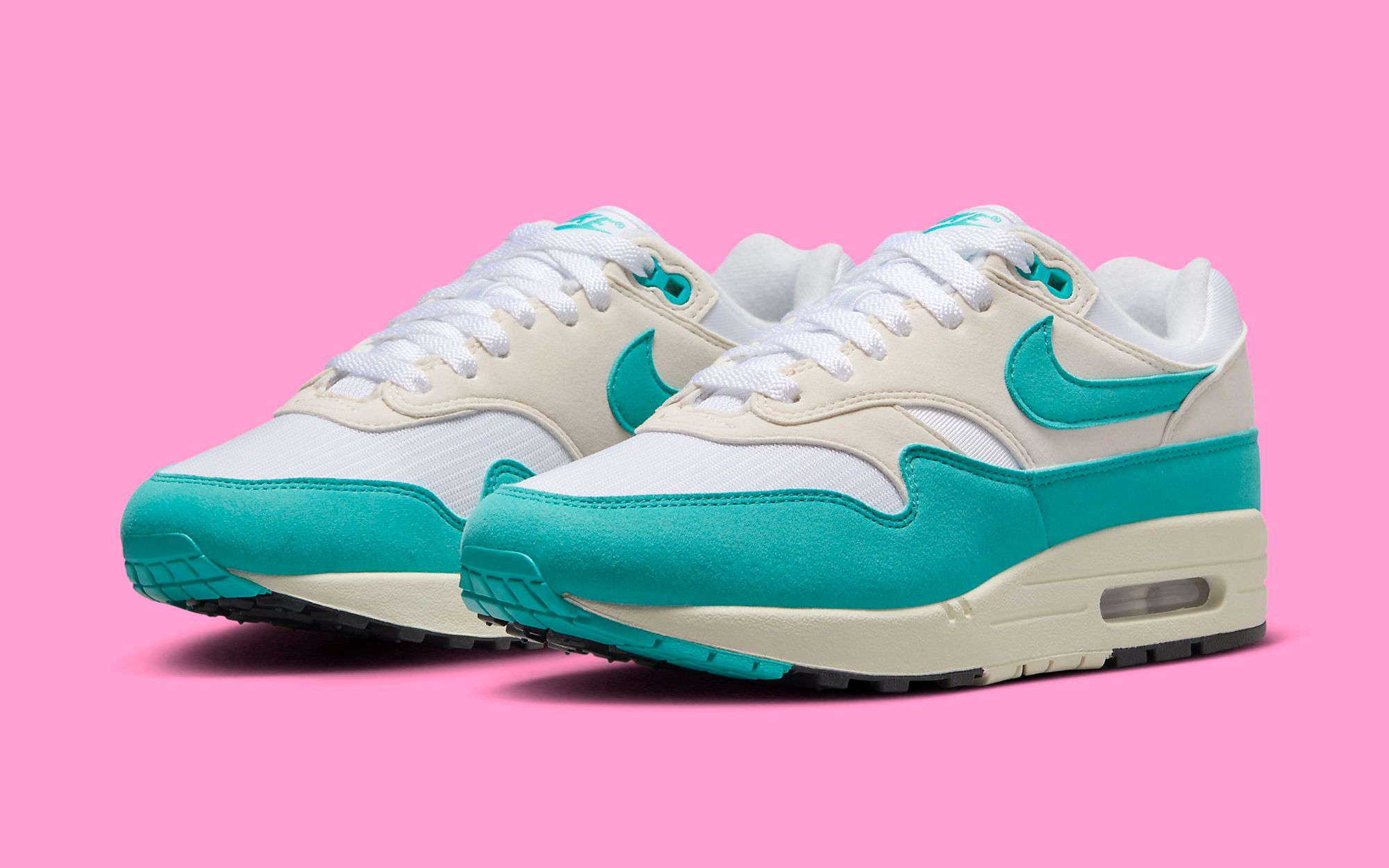 Nike Air Max 1 Dusty Cactus